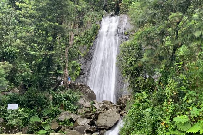 USDA El Yunque National Forest and Luquillo Beach Tour - Authenticity and Adventure: What Travel Lovers Will Appreciate