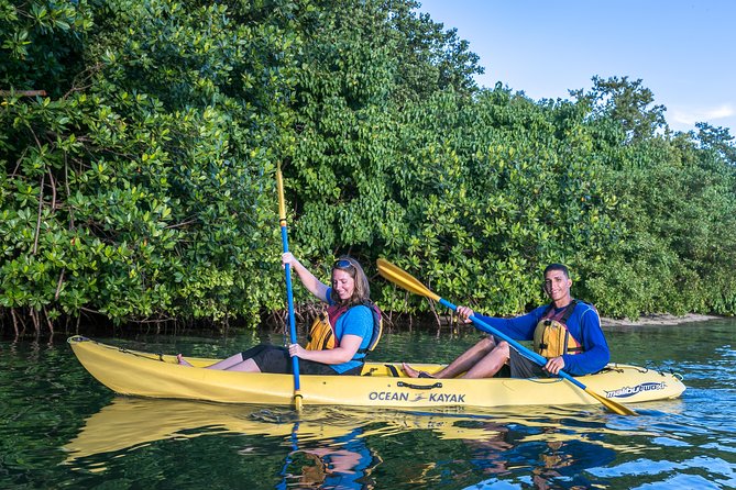 Bio Bay Night Kayak Tour with Transport from San Juan - The Experience: What Makes It Special