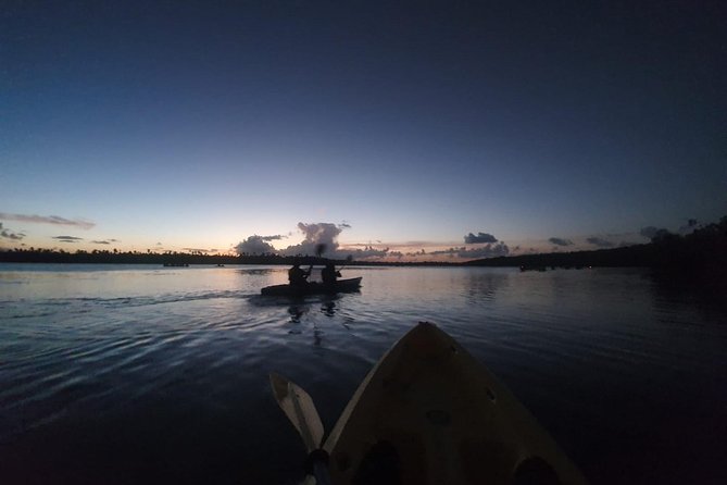 Bio Bay Night Kayak Tour with Transport from San Juan - Who Should Consider This Tour?