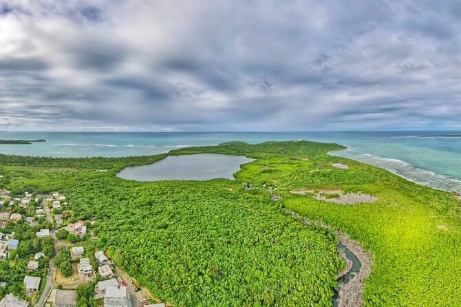 Bio Bay Night Kayak Tour with Transport from San Juan - The Sum Up