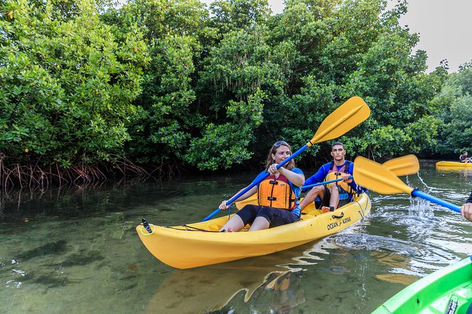 Bio Bay Night Kayak Tour with Transport from San Juan - Experience Puerto Rico’s Magical Bio Bay by Night