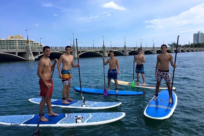 San Juan | Paddleboard | Kayak | Snorkeling | Guided Tours - Who Will Love This Tour?