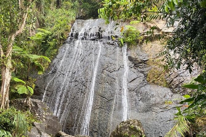 El Yunque Rainforest VIP Experience - Key Points