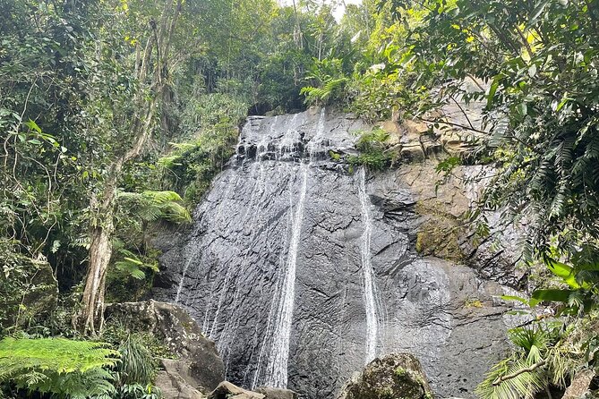 El Yunque Rainforest VIP Experience - Who Is This Tour Best For?