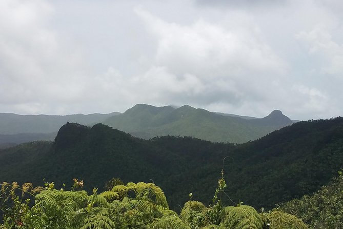 El Yunque Rainforest Full Day Private Tour - Frequently Asked Questions
