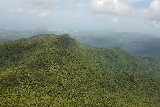 El Yunque Rainforest Full Day Private Tour - Additional Resources