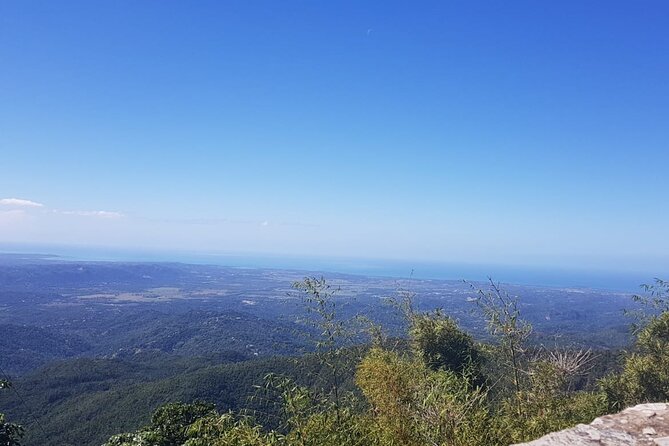 Transfer from San Juan to Dorado or Dorado to San Juan - Final Thoughts