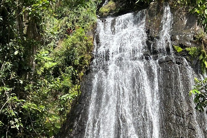 El Yunque Guided Experience! - Key Points