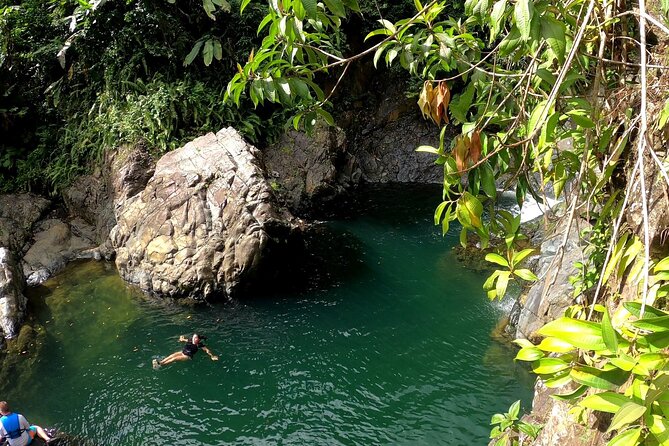 Rainforest Nature Walk & Luquillo Beach Combo - Rainforest Nature Walk & Luquillo Beach Combo: A Genuine Puerto Rican Adventure