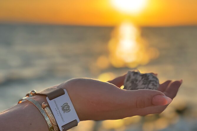 Puerto Rico's Only Private, VIP & Filmed Bio Bay Swim Experience - Final Thoughts: Who Should Book This Tour?