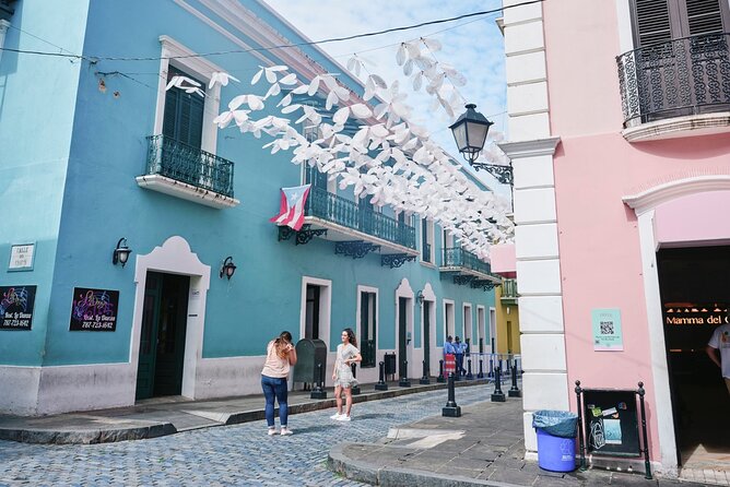 Full Day Private Shore Tour in San Juan from San Juan Puerto Port - Who Should Consider This Tour?