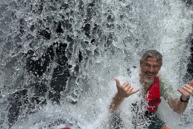 Yunque & Piñones Tour Hike Eat & Adventure with a Local; San Juan - Comparing Value and Price