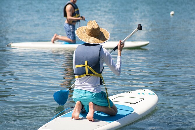 1-Hour Condado Lagoon Paddleboard Rental in San Juan - Key Points