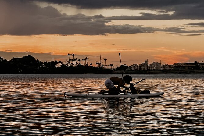 1-Hour Condado Lagoon Paddleboard Rental in San Juan - Frequently Asked Questions