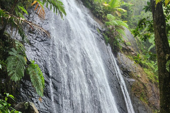 El Yunque National Rainforest and Luquillo Beach Tour - Practicalities and Value