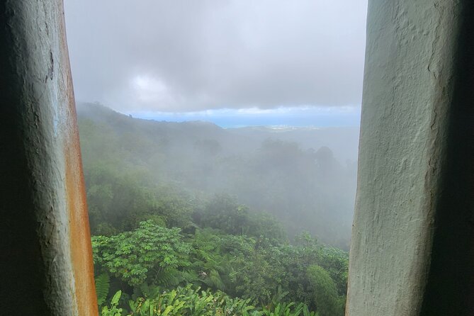 El Yunque National Rainforest and Luquillo Beach Tour - FAQ: Your Practical Questions Answered