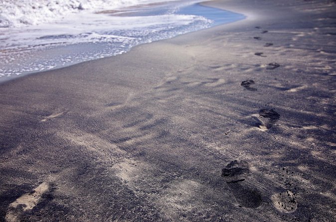 Private Tour to Black Sand Beach in The Southeast of Puerto Rico - Who Should Consider This Tour?