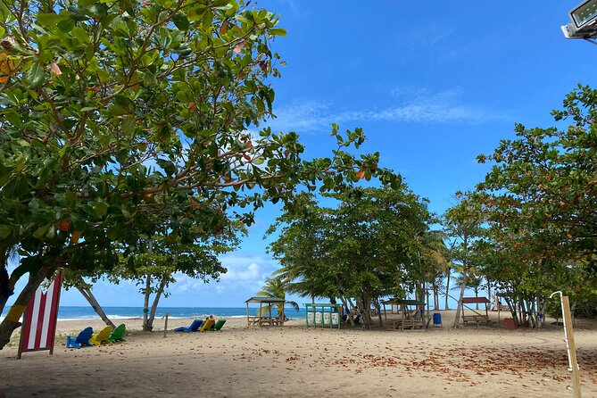 Private Full Day Aguadilla Sightseeing Tour - Key Points