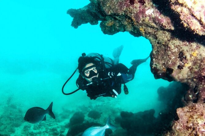 Scuba Tour for Certified Divers in San Juan - A Closer Look at the San Juan Scuba Tour