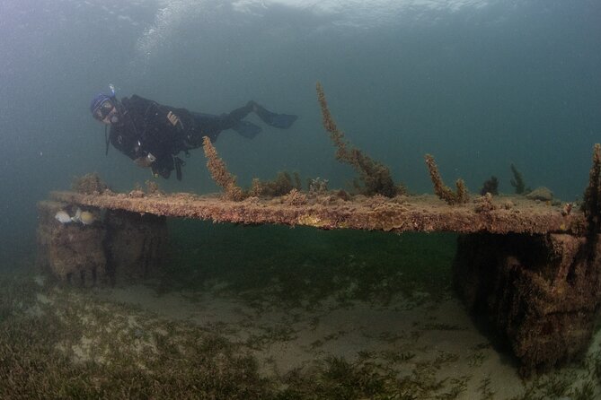 Scuba Tour for Certified Divers in San Juan - The Experience for Different Types of Travelers