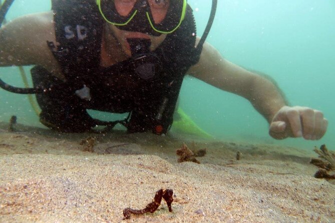 Scuba Tour for Certified Divers in San Juan - Practical Tips for Booking and Enjoying the Tour