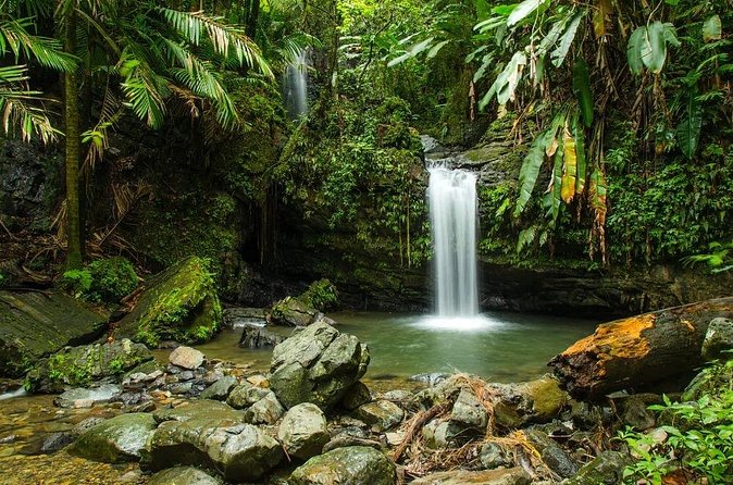 El Yunque Rainforest Guided Tour - FAQs