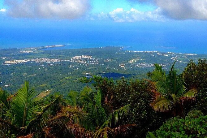 El Yunque Rainforest Guided Tour - Exploring El Yunque Rainforest: An In-Depth Guided Tour