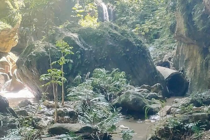 Rainforest Caves and Waterfalls Exploration with Transportation - FAQs