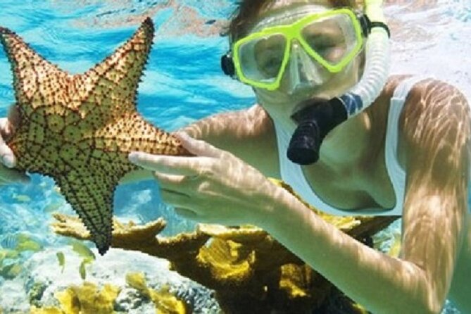 Combo El Yunque Rainforest and San Juan Snorkeling with Transport - The value of this adventure