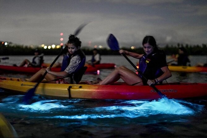 BioBay Kayak Tour with San Juan Roundtrip Transportation - Experience the Glow of Puerto Ricos Bioluminescent Bay