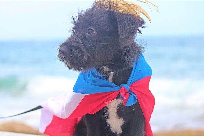 Private Old San Juan Photography - FAQ