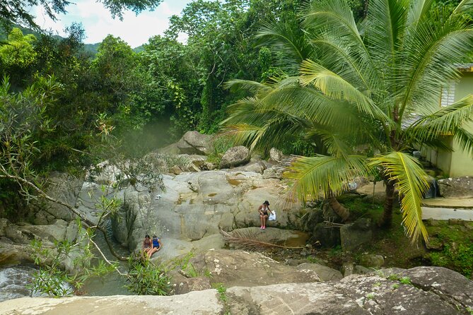 Coffee Plantation and River with Waterfalls in Puerto Rico - Rio Siete Chorros: Waterfalls and River Relaxation