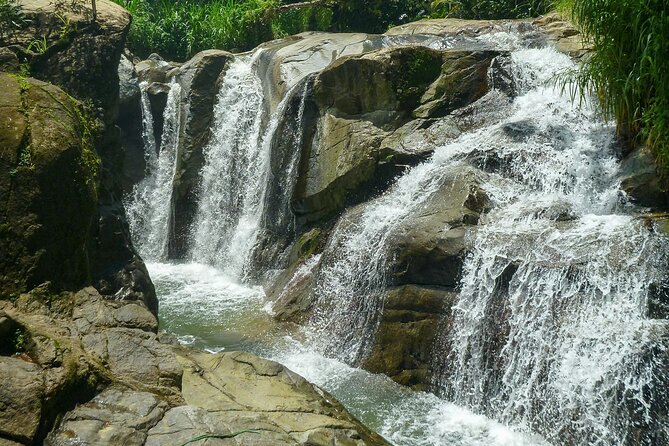 Coffee Plantation and River with Waterfalls in Puerto Rico - How the Tour Adds Up
