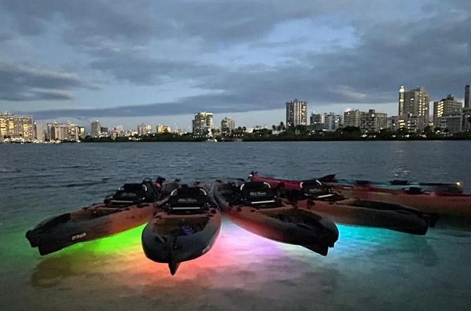Paddle & Glow LED Kayaking - Who Should Consider This Tour?