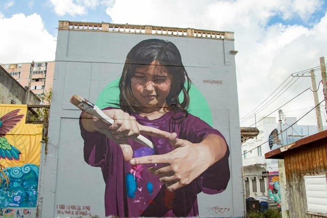 Puerto Rico: Lifestyle, Art, and Cultural Tour - Practicalities and Considerations