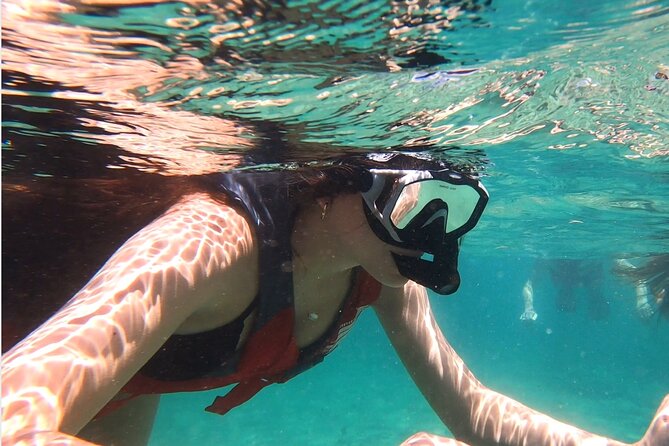 VIP San Juan: Snorkeling Tour with Turtles with Free Videos - An In-Depth Look at What This Tour Offers