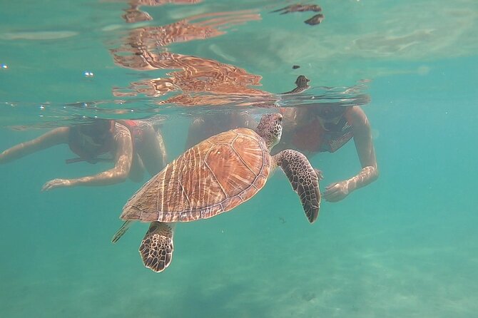 VIP San Juan: Snorkeling Tour with Turtles with Free Videos - Frequently Asked Questions