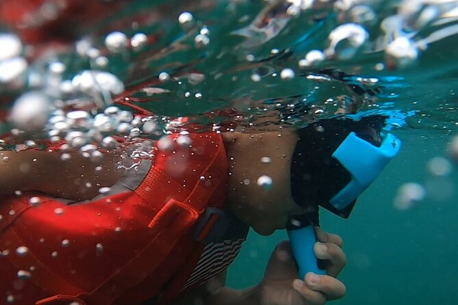 San Juan: Kids and Family Snorkeling Adventure with Videos - What Makes This Tour Stand Out?
