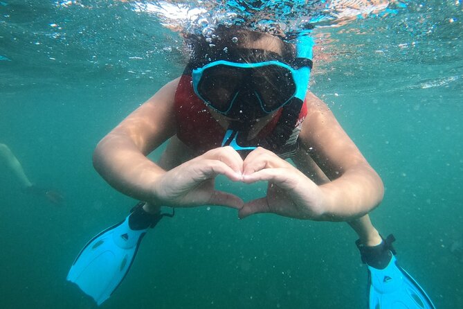 San Juan: Kids and Family Snorkeling Adventure with Videos - Who Should Consider This Tour?