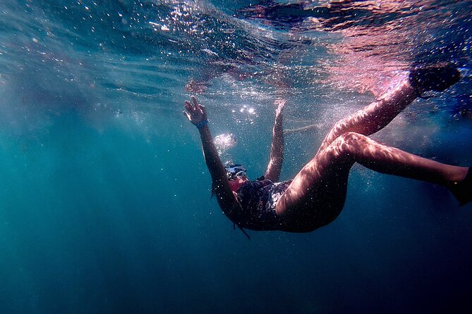 San Juan: Snorkeling with Turtles Adventure and Free Videos - Location, Duration, and Pricing: What’s on Offer?