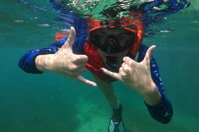 San Juan: Snorkeling with Turtles Adventure and Free Videos - The Itinerary: A Day at the Beach with a Marine Focus