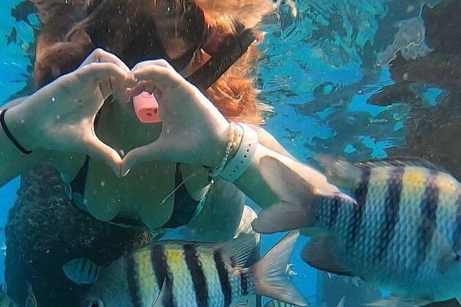 San Juan: Snorkeling with Turtles Adventure and Free Videos - Practical Tips for Travelers