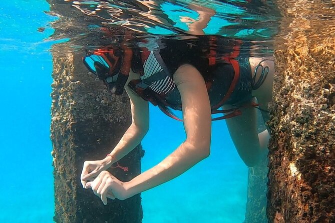 San Juan: Snorkeling with Turtles Adventure and Free Videos - Marine Life and Sightings: What Can You Expect?