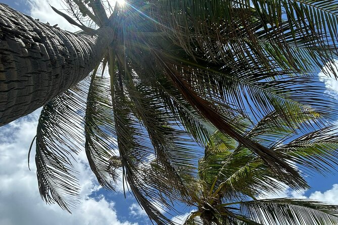 Beach Bliss Yoga in San Juan - A Deep Dive into the Beach Bliss Yoga Experience