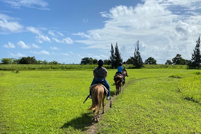 Scenic Horseback Riding Tour from San Juan - Detailed Itinerary Breakdown