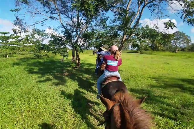 Scenic Horseback Riding Tour from San Juan - Considerations and Tips for Travelers