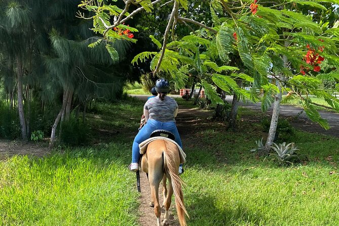 Scenic Horseback Riding Tour from San Juan - Final Thoughts: Who Should Consider This Tour?