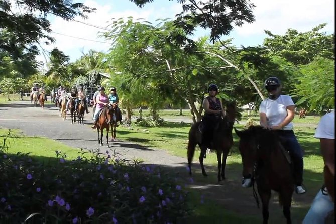 Scenic Horseback Riding Tour from San Juan - The Value of This Tour