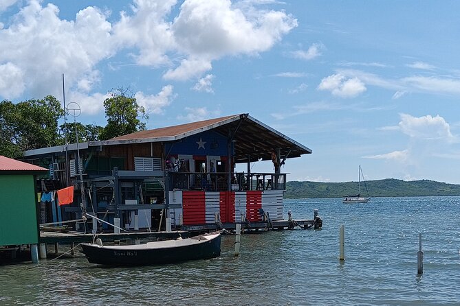 Full Day West Coast Adventure in Puerto Rico - Who is This Tour Best For?