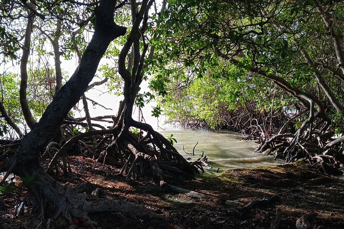 Full Day West Coast Adventure in Puerto Rico - FAQ